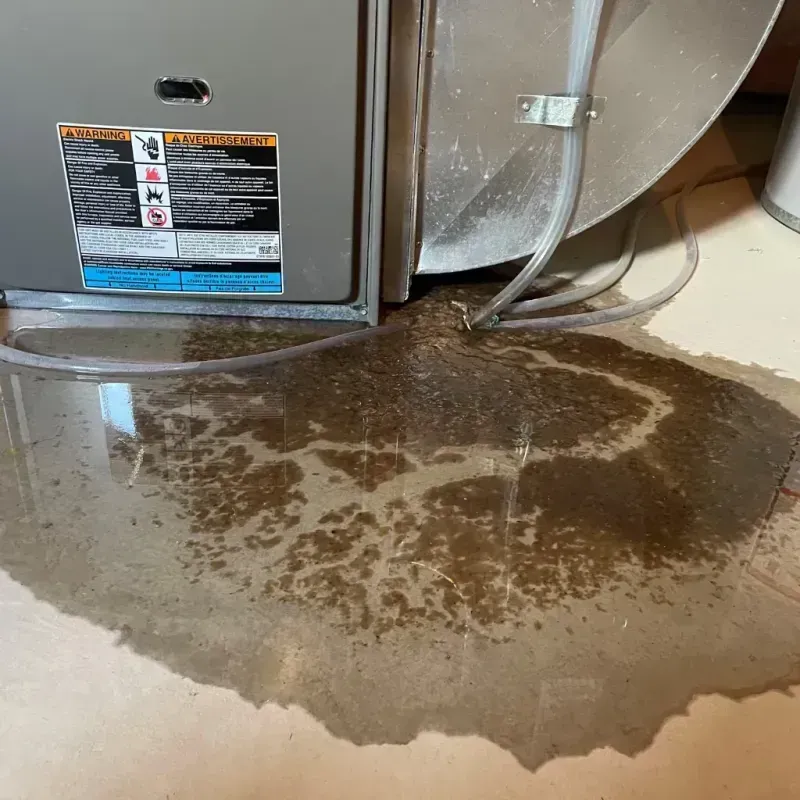 Appliance Leak Cleanup in Madison, WI